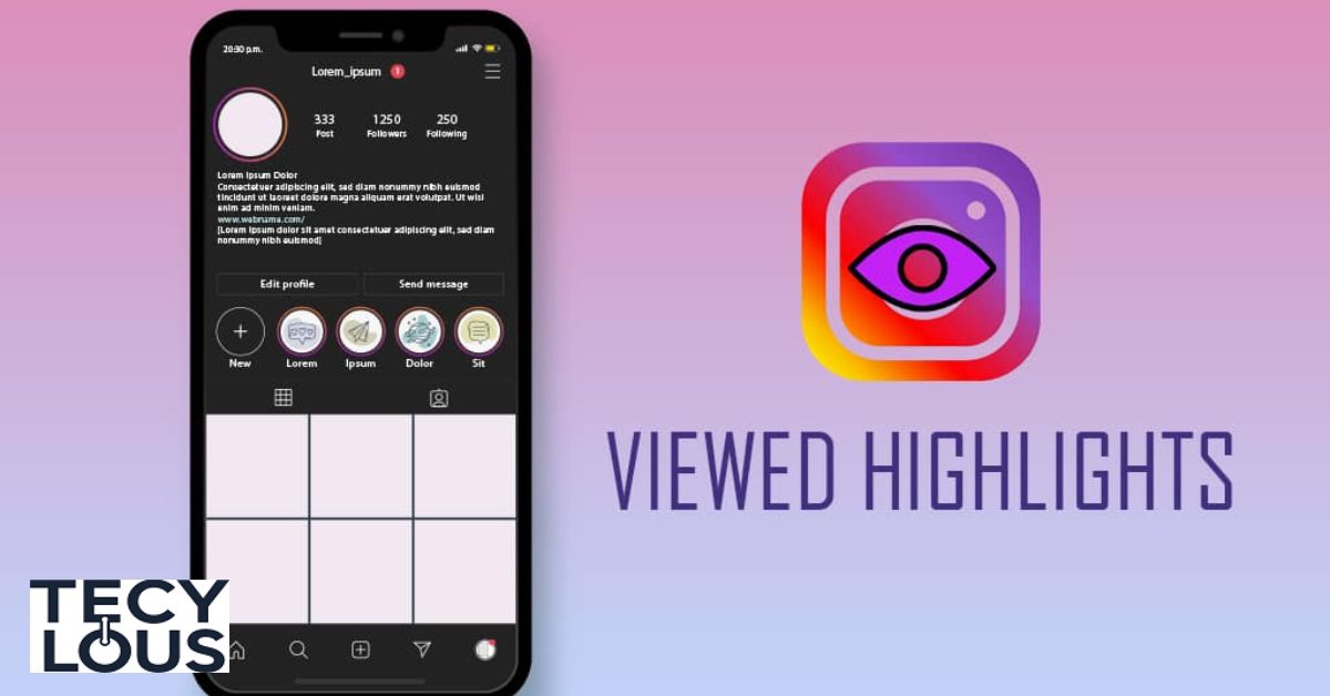 Instagram Highlight Viewer